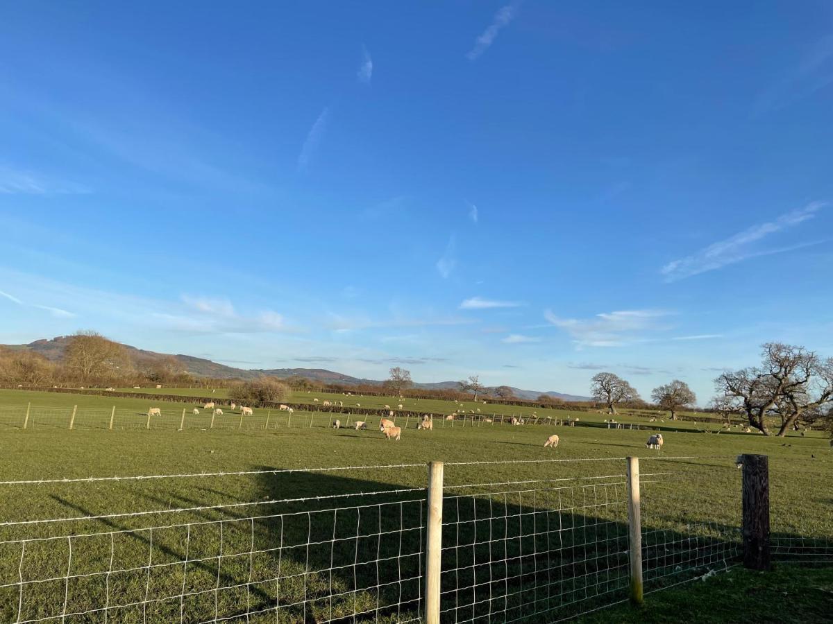 Abbey Farm Luxury Glamping Hotel Rhuddlan Екстериор снимка