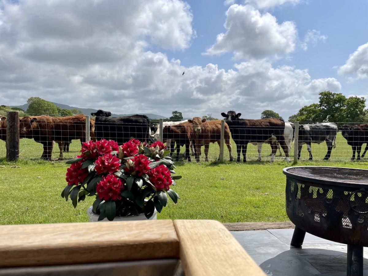 Abbey Farm Luxury Glamping Hotel Rhuddlan Екстериор снимка